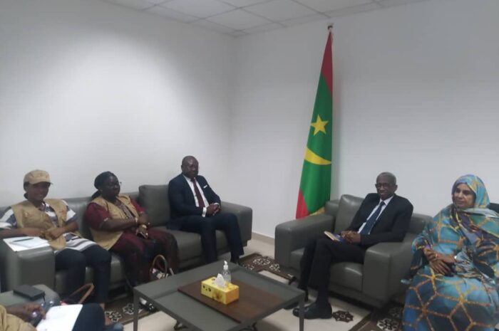 رئيس المجلس الدستوري يستقبل بعثة الاتحاد الافريقي لمراقبة الانتخابات