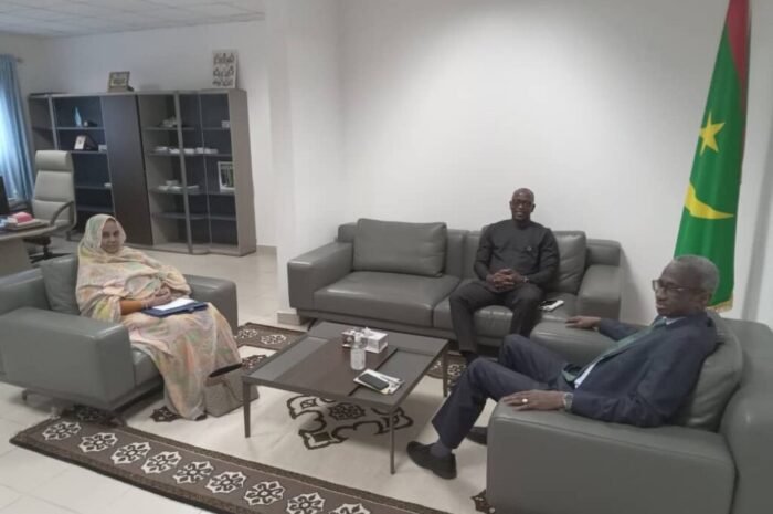 رئيس المجلس الدستوري يستقبل الممثل المقيم لبرنامج الأمم المتحدة الإنمائي